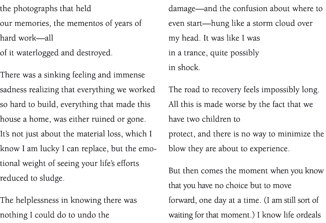 the photographs that held our memories, the mementos of years of hard work—all of it waterlogged and destroyed. There...